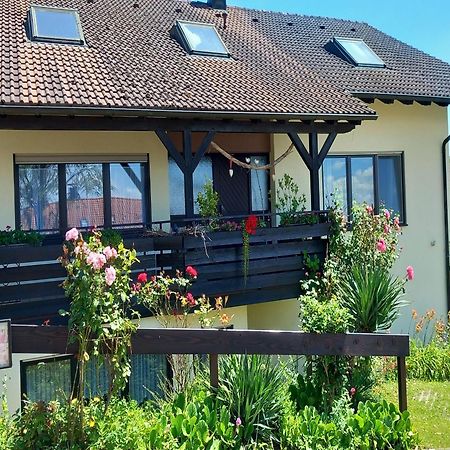 Gaestehaus Gaby Bad Bellingen Eksteriør billede